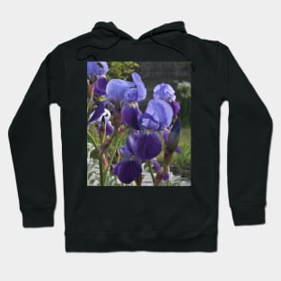 Belles - Irises Hoodie